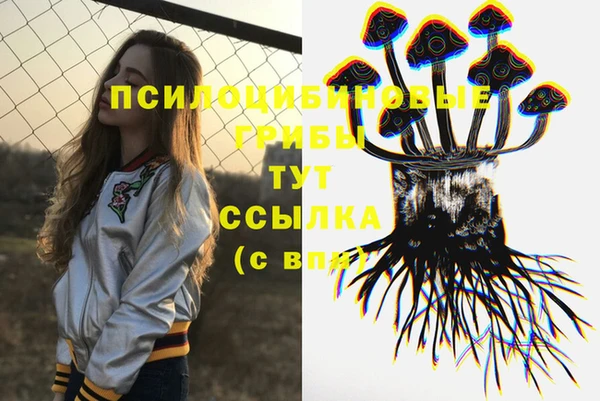 бутират Алзамай