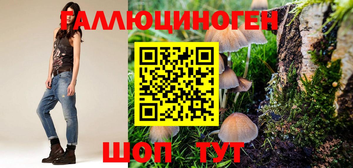 Галлюциногенные грибы Cubensis Слободской